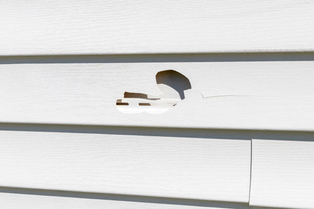 Trusted Forest Meadows, CA Junk Removal Experts